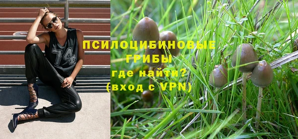 каннабис Бородино