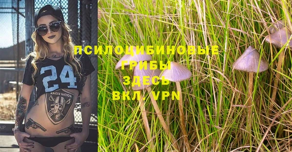 прущие грибы Богородск