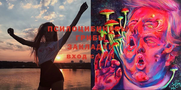 прущие грибы Богородск
