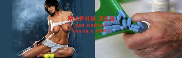 прущие грибы Богородск