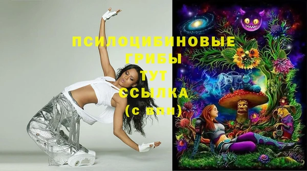 мет Богданович
