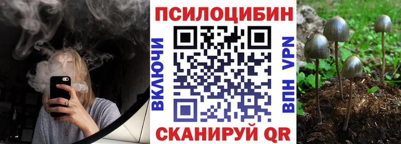 как найти закладки  Новосокольники  Псилоцибиновые грибы Cubensis 