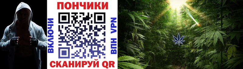 Марихуана Amnesia Новосокольники